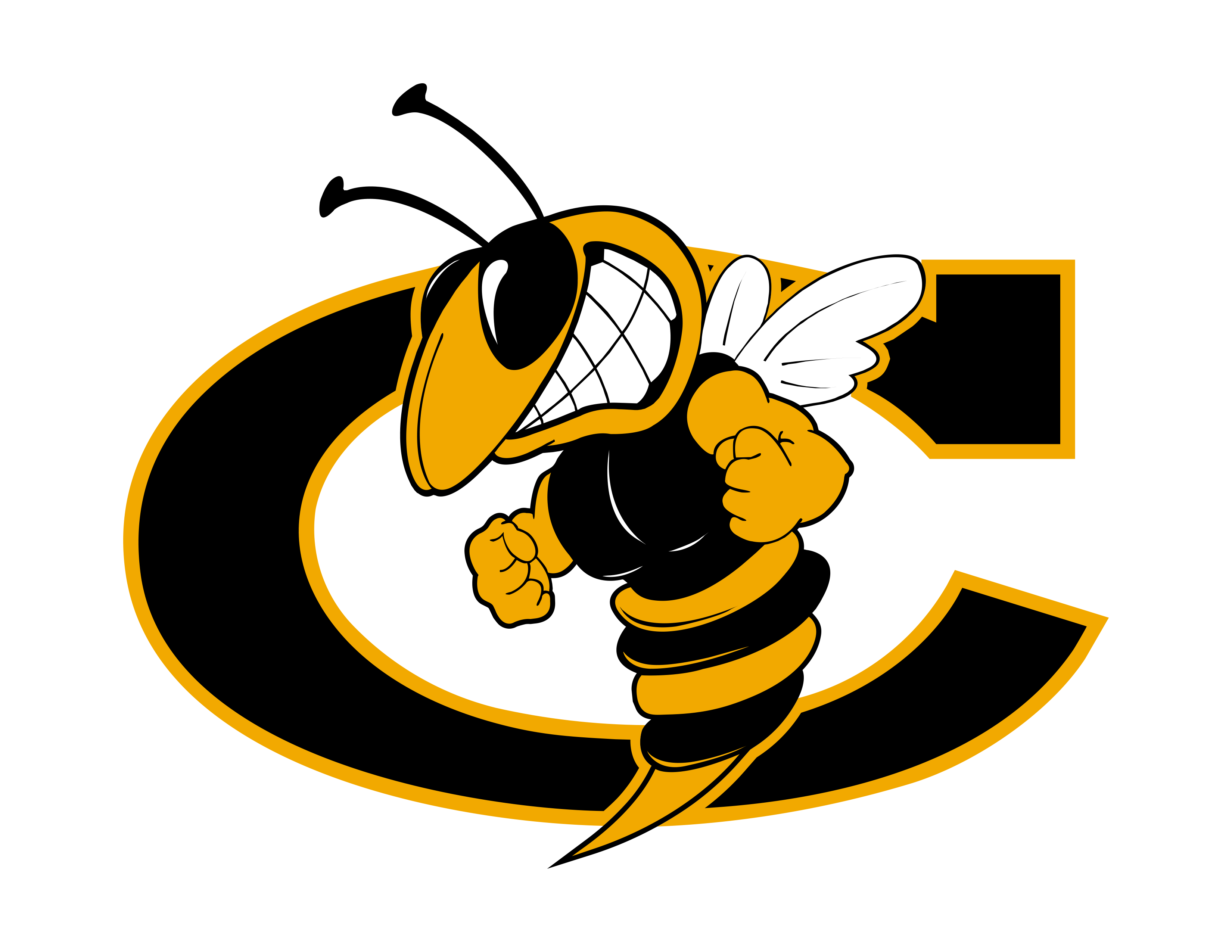 Cook county hornets vs appling county pirates baseball mar 14 2025